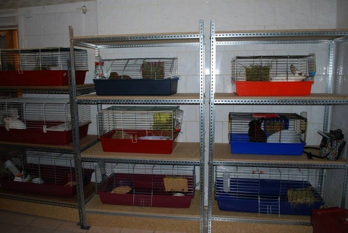 miniaturkabeztajemnic.com