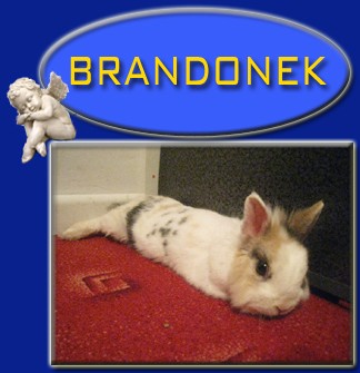Brandonek