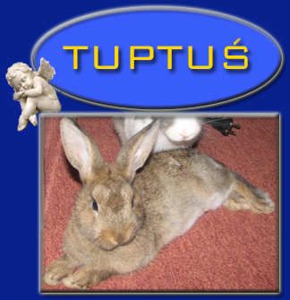Tuptu�