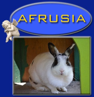 Afrusia