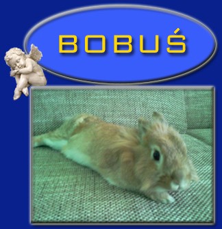 Bobu�