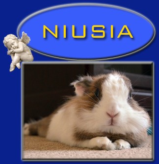 Niusia