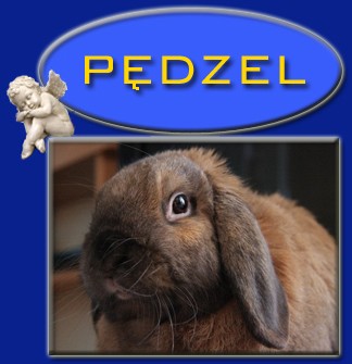 P�dzel