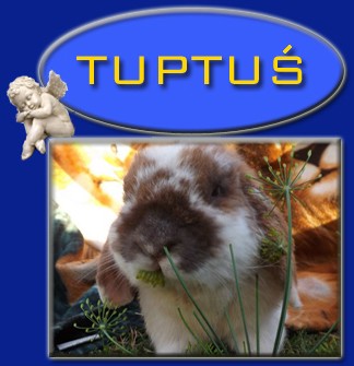 Tuptu�