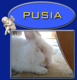 Pusia